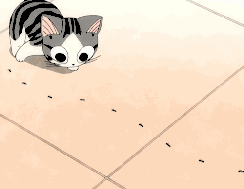 cat gif cute anime nya - GIF by Виолетта Котик